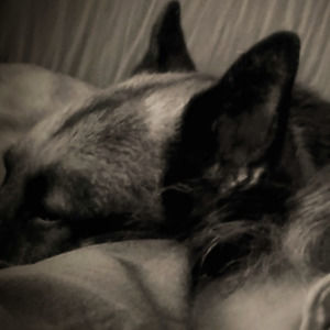 Meet your Posher, Marcella